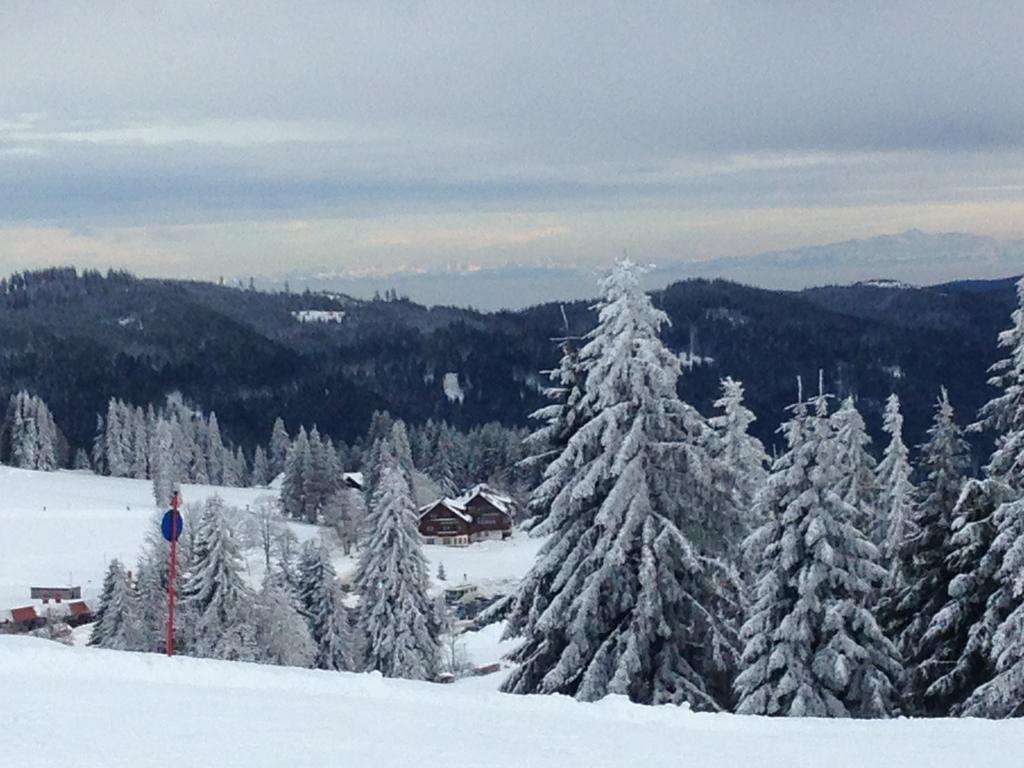 Pop-Up Stuub Feldberg Hotel Feldberg  Luaran gambar