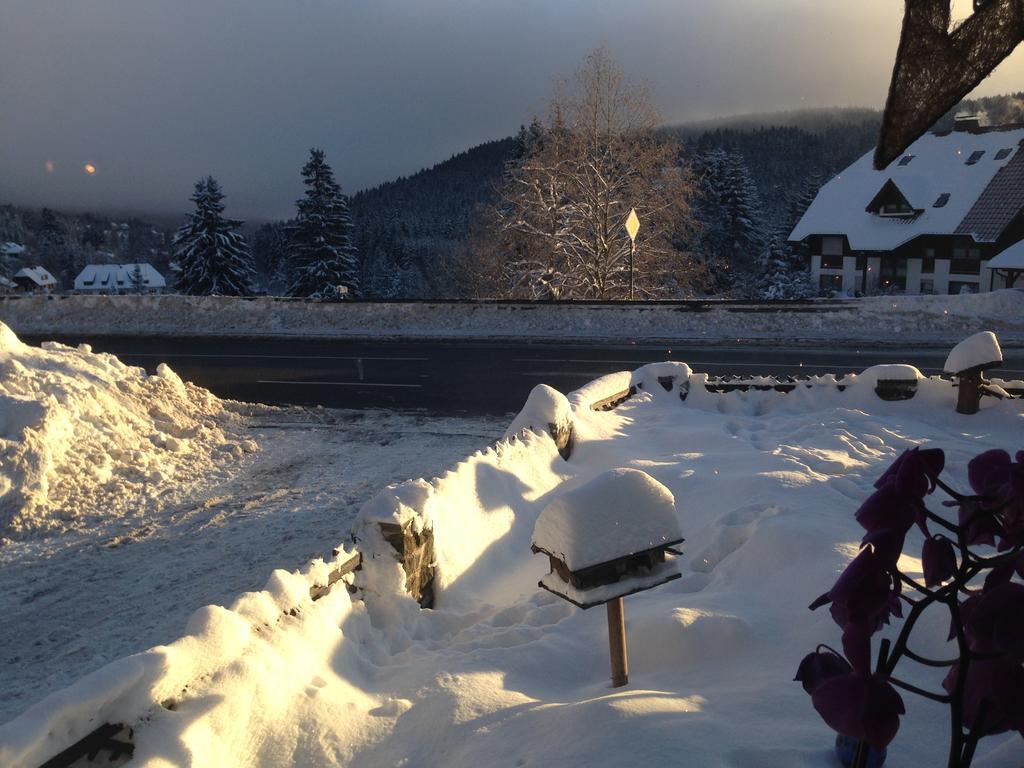 Pop-Up Stuub Feldberg Hotel Feldberg  Luaran gambar